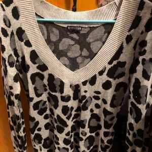 Express sweater